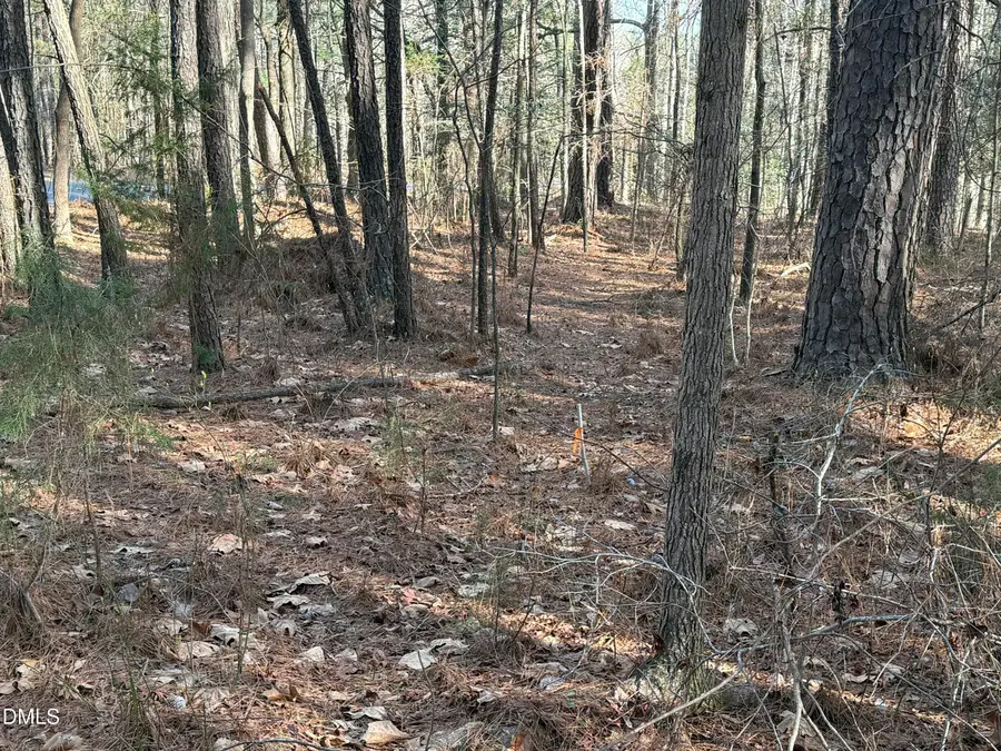 Lots 4 & 5 Simon Collie Road, Louisburg, NC 27549 - #2