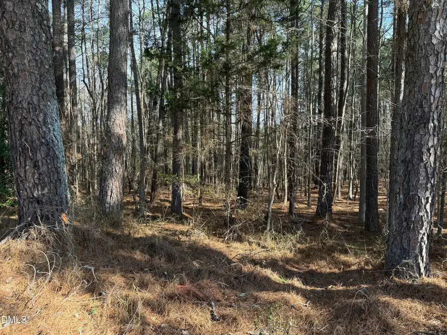 Lots 4 & 5 Simon Collie Road, Louisburg, NC 27549 - #3