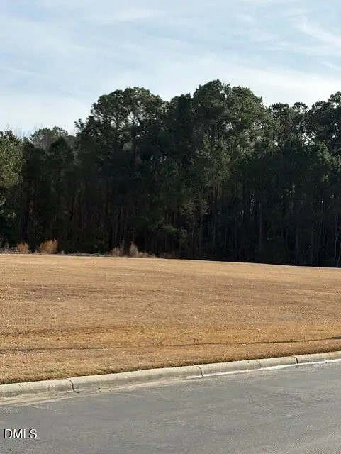 660 E Jackson Boulevard, Erwin, NC 28339 - #3