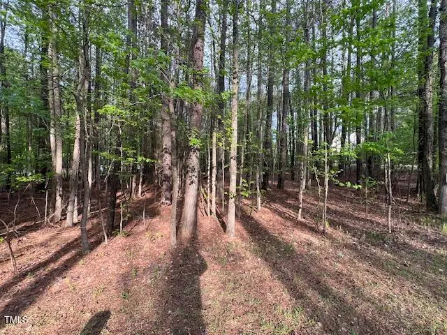 112 Buffalo Drive, Louisburg, NC 27549 - #2