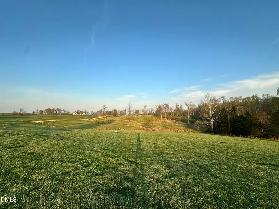 2.97 Acres Jones Road, Hurdle Mills, NC 27541 - #3