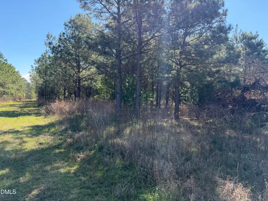 910 Festus Road, Coats, NC 27521 - #2