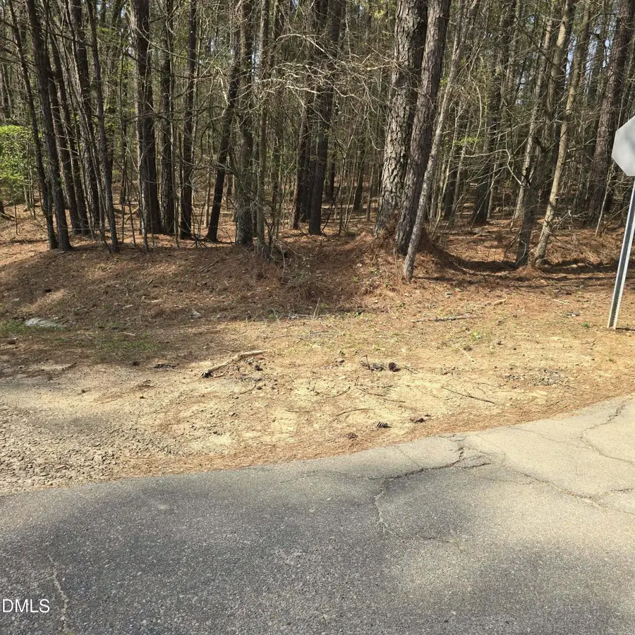 133 Sequoia Drive, Louisburg, NC 27549 - #2