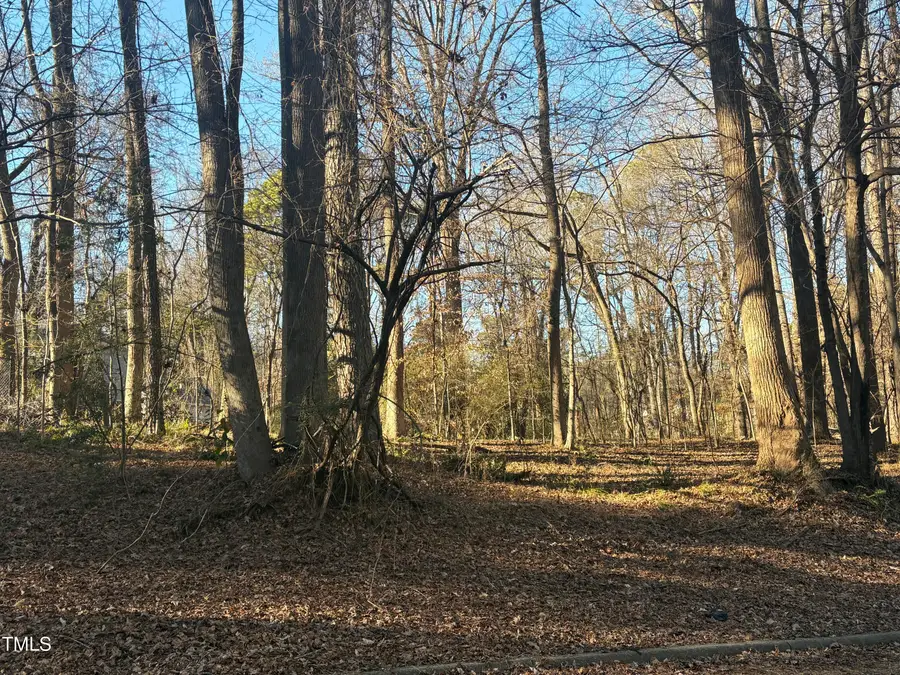 01 Washington Street, Clayton, NC 27520 - #2