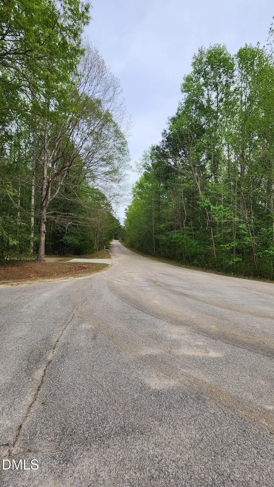 126 W Silver Belle Drive, Zebulon, NC 27597 - #2