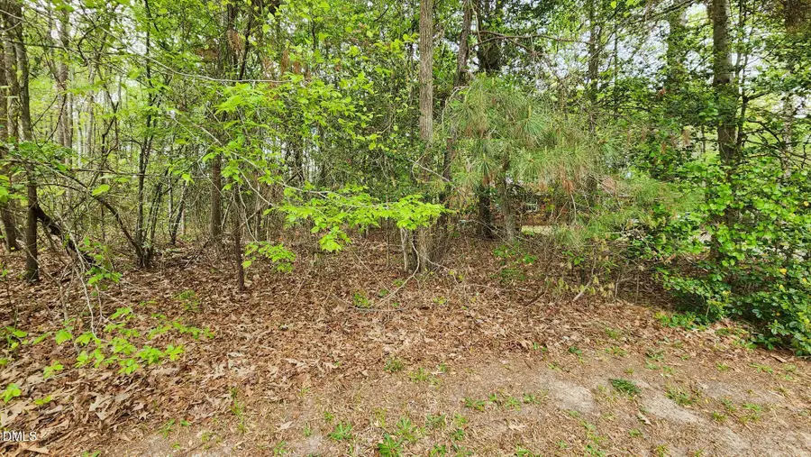 126 W Silver Belle Drive, Zebulon, NC 27597 - #3