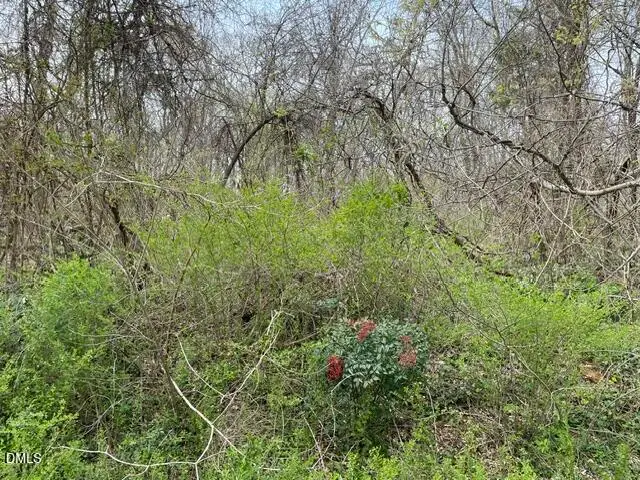 Tbd Old Walker Mill Road, Randleman, NC 27317 - #1