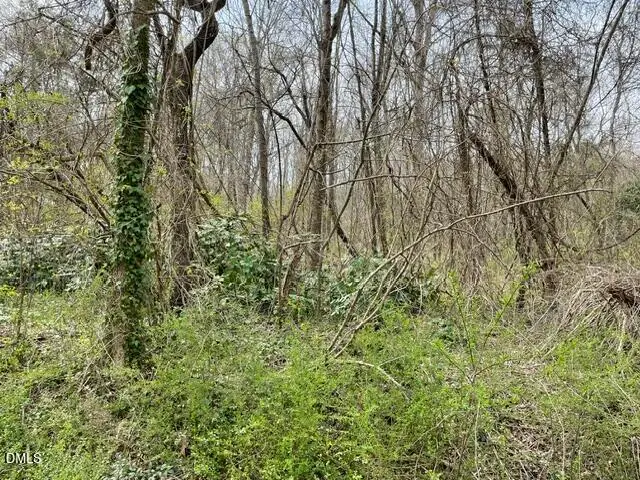 Tbd Old Walker Mill Road, Randleman, NC 27317 - #2