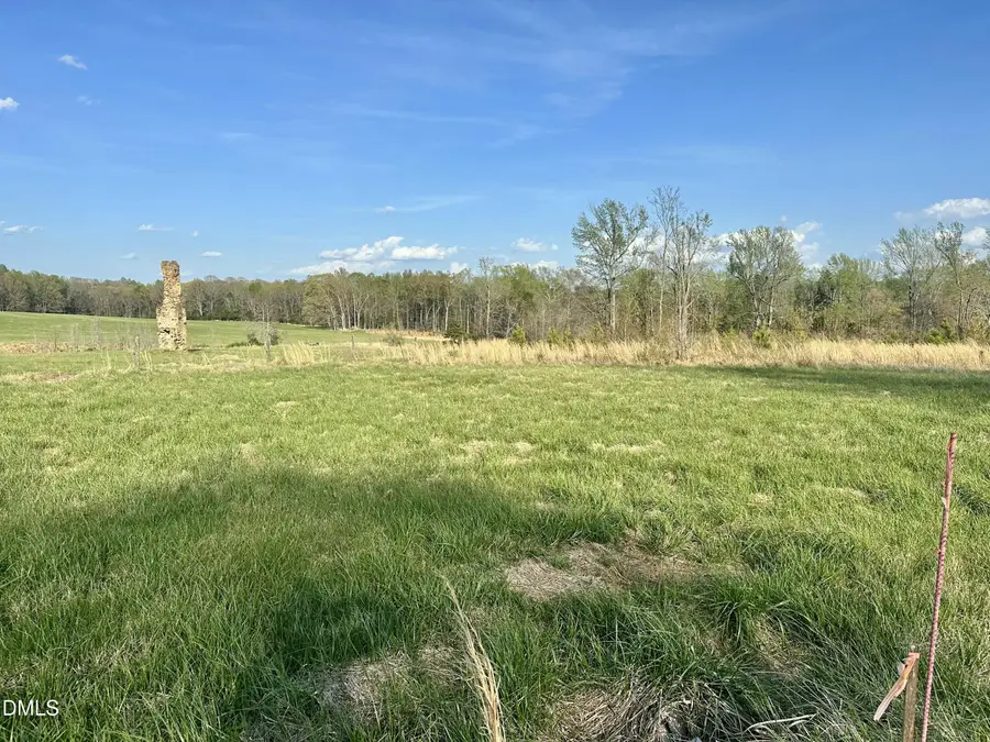 7.28 Acres Jones Road, Hurdle Mills, NC 27541 - #2