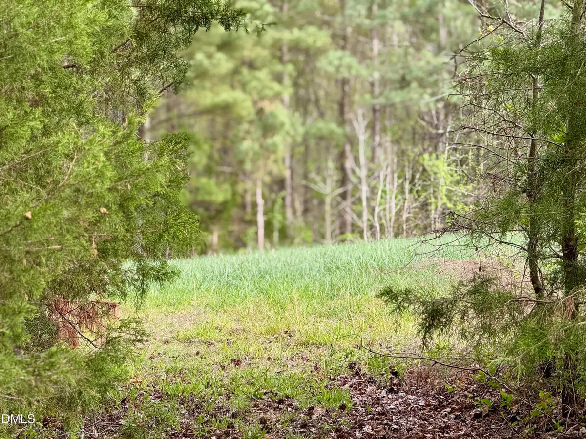 12301 Nc Highway 86 S, Prospect Hill, NC 27314 - #1