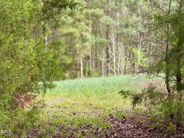 12301 Nc Highway 86 S, Prospect Hill, NC 27314