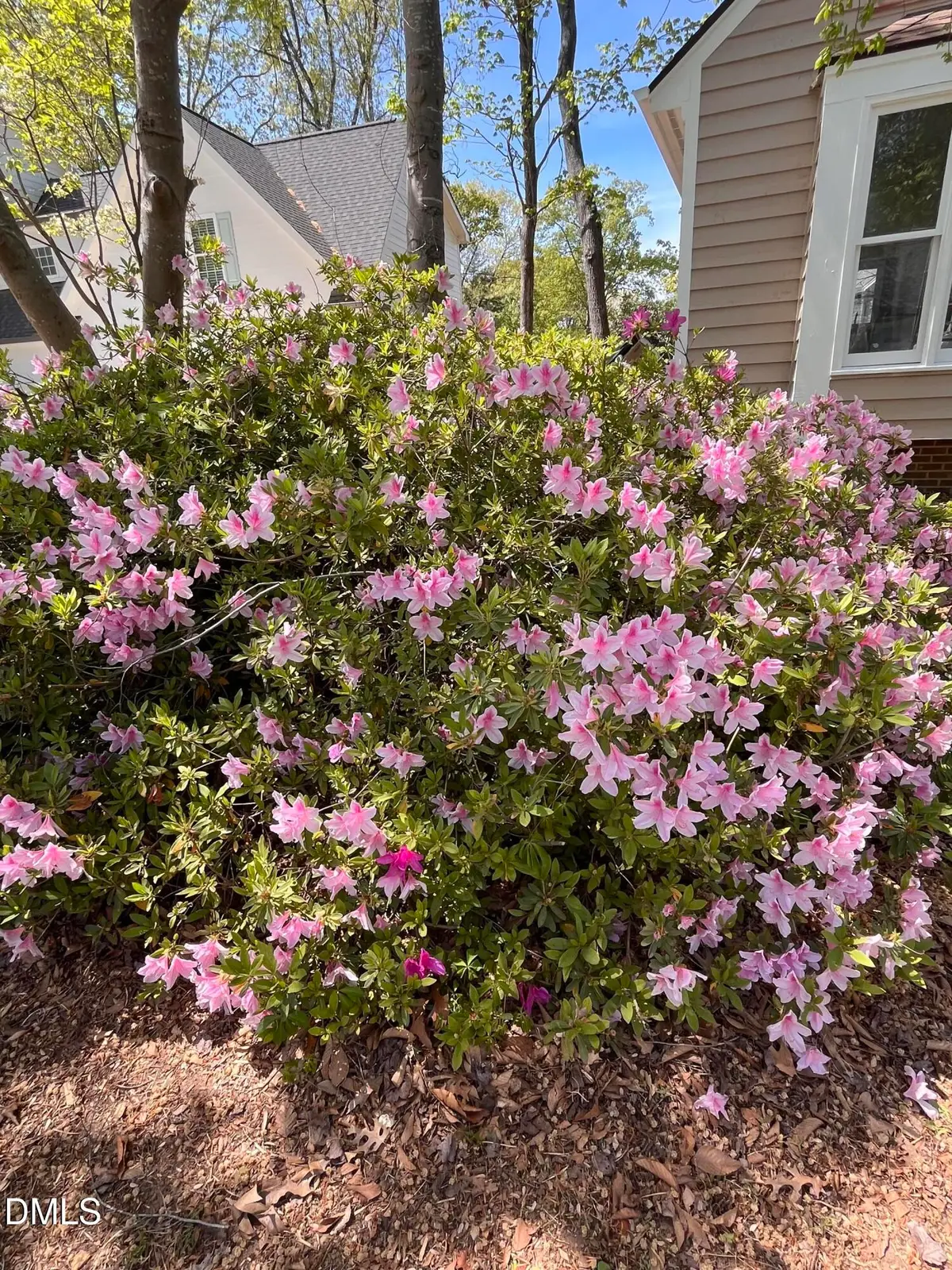 4413 Densmore Place, Raleigh, NC 27612 - #1