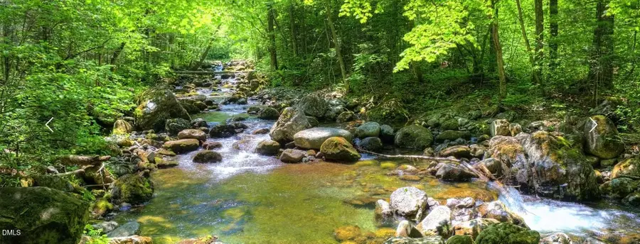 174 Clear Springs Court, Pittsboro, NC 27312 - #3