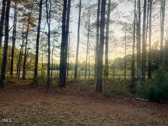 50 Settlers Place, Clayton, NC 27520 - #3