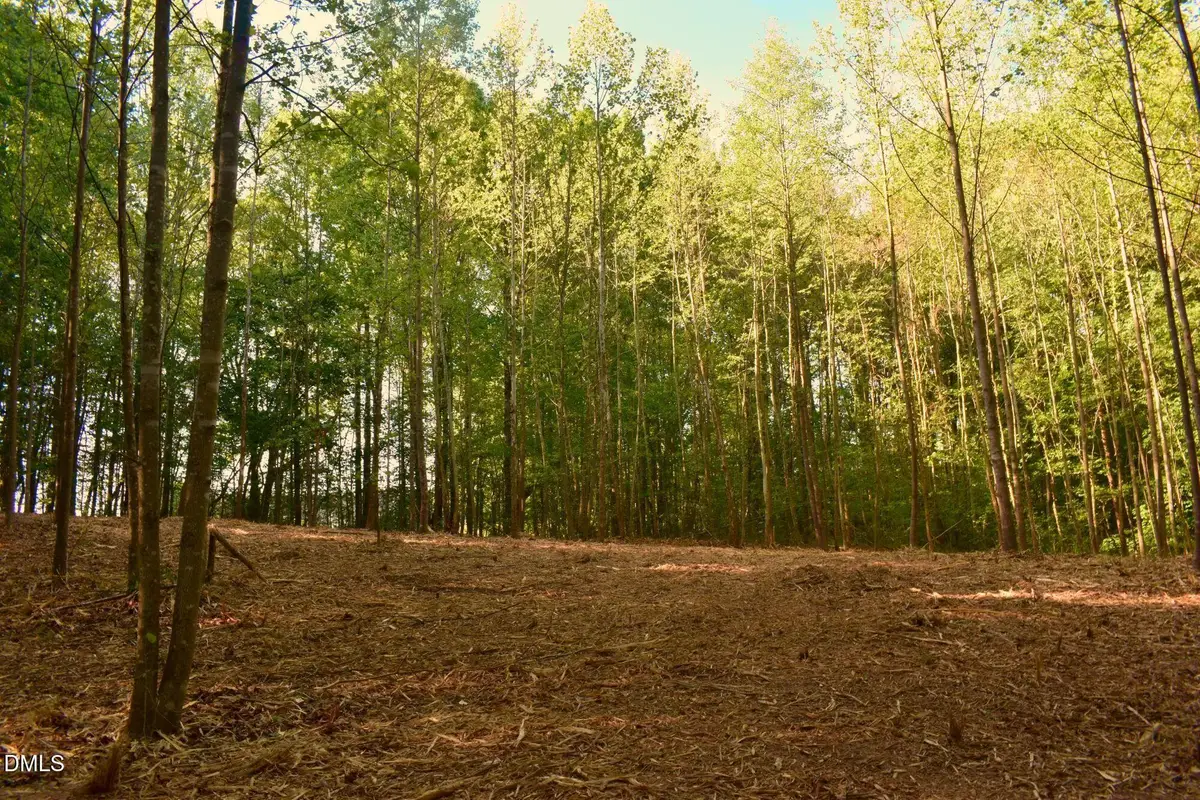 0 Hodges Dairy Road, Yanceyville, NC 27379 - #1