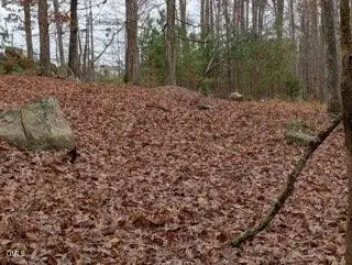 1416 Jack Bennett Road, Chapel Hill, NC 27517 - #1