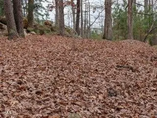 1416 Jack Bennett Road, Chapel Hill, NC 27517 - #3