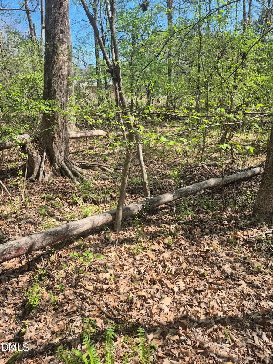 4222 Jeffries Road, Durham, NC 27704 - #3