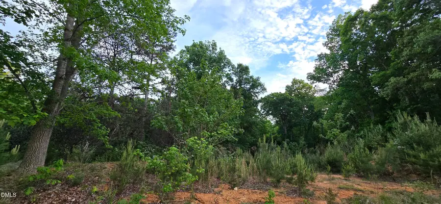 6530 Treetop, Snow Camp, NC 27349 - #2