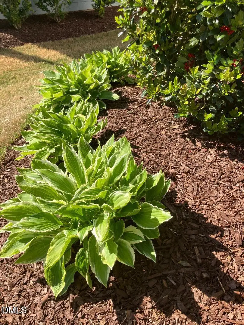 833 Whistable Avenue, Wake Forest, NC 27587 - #3