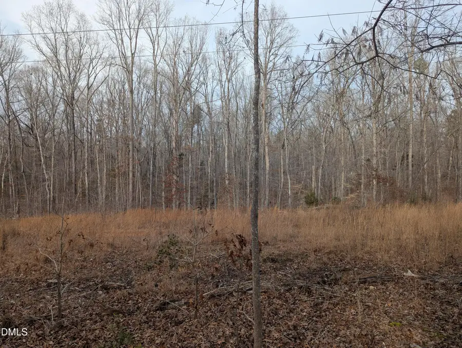 0 Dirgie Mine Road, Roxboro, NC 27574 - #3