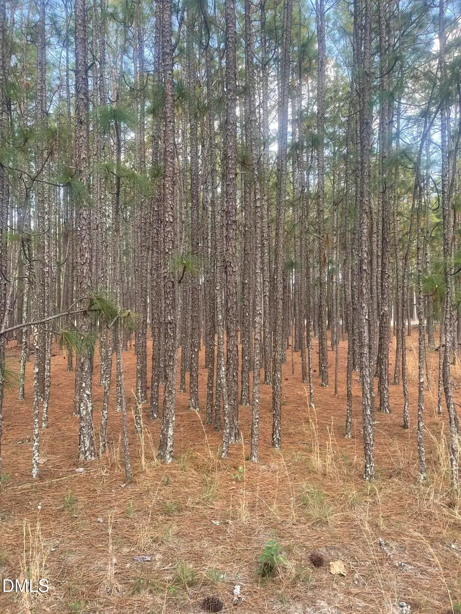 0 Flowers Road, Jackson Springs, NC 27281 - #2