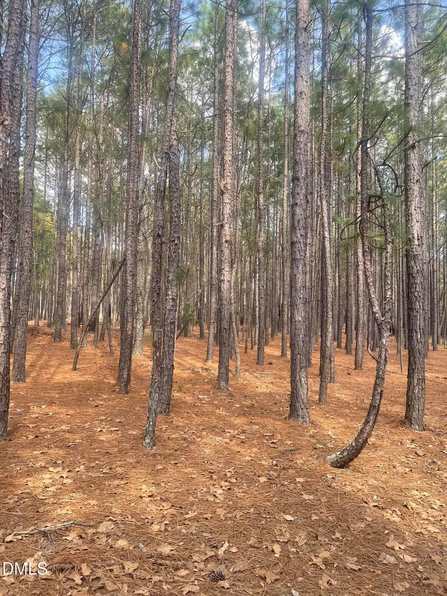 0 Flowers Road, Jackson Springs, NC 27281 - #3