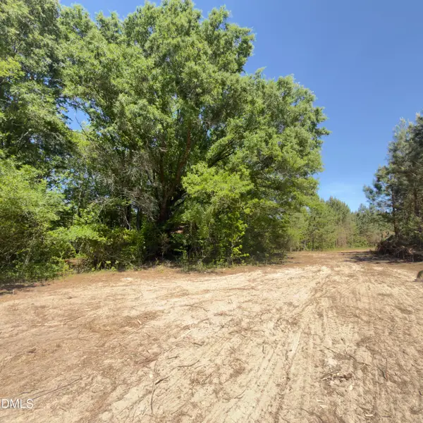Lot 4 New Creech Road, Selma, NC 27576