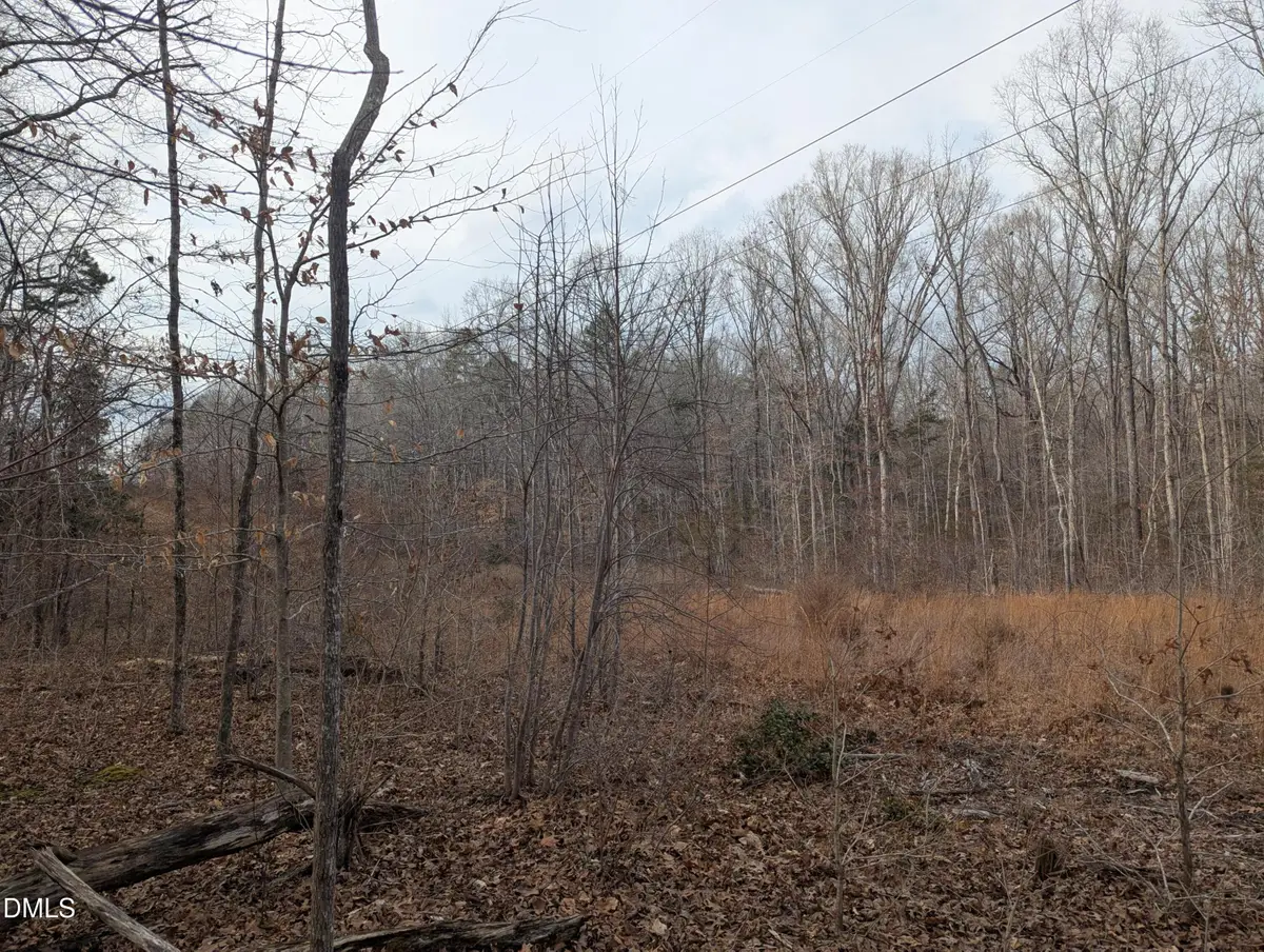00 Dirgie Mine Road, Roxboro, NC 27574 - #1
