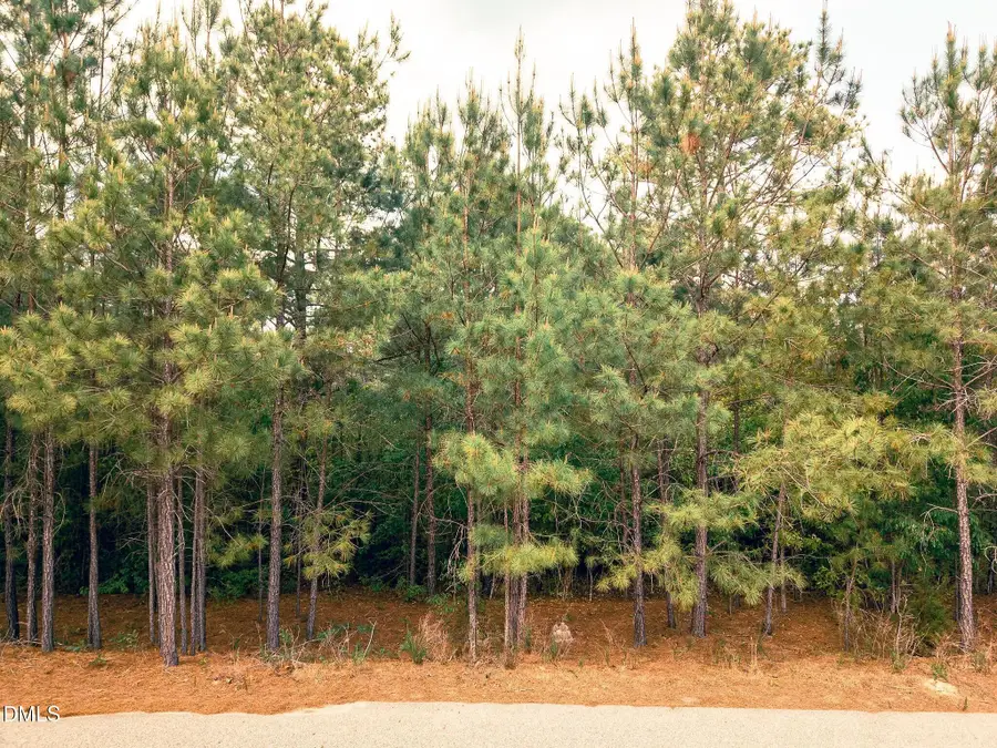 181 Appleton Way, Sanford, NC 27332 - #2