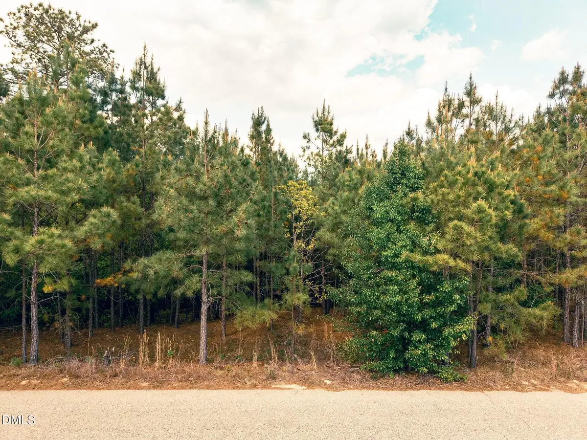 161 Appleton Way, Sanford, NC 27332 - #1