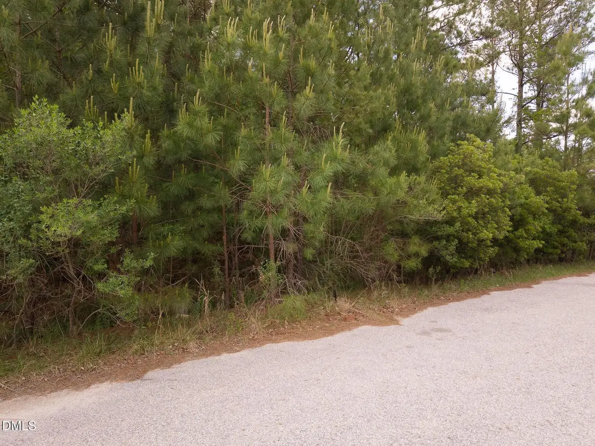 127 Chason Terrace, Sanford, NC 27332 - #1