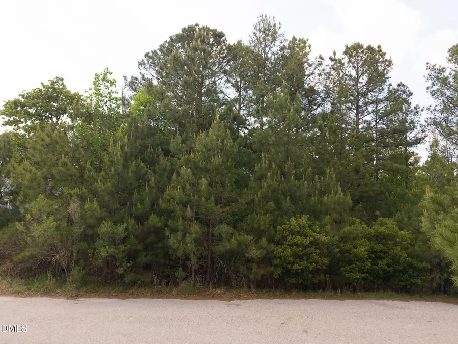 127 Chason Terrace, Sanford, NC 27332 - #3