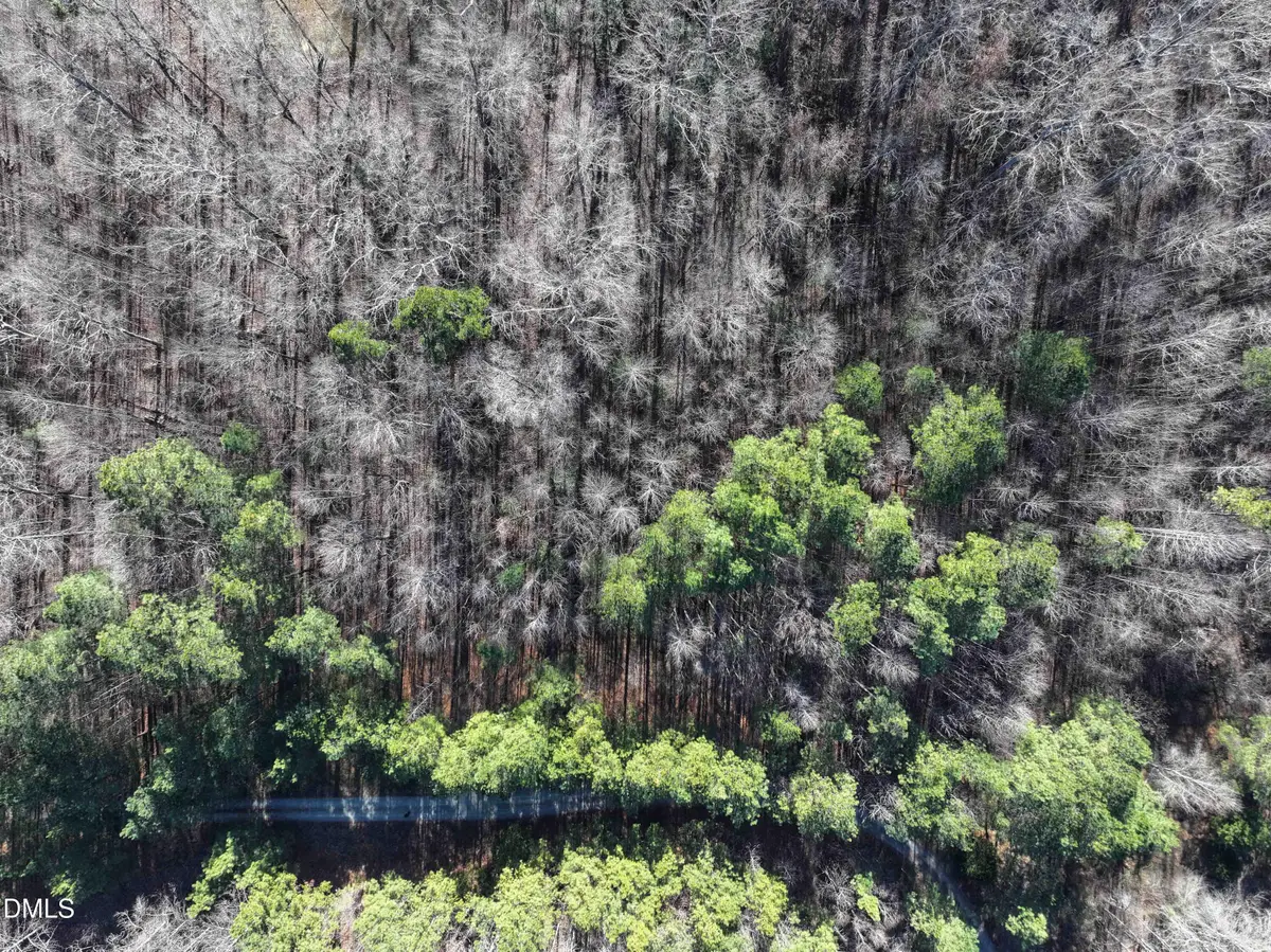 319 Bush Creek Lane, Chapel Hill, NC 27517 - #1