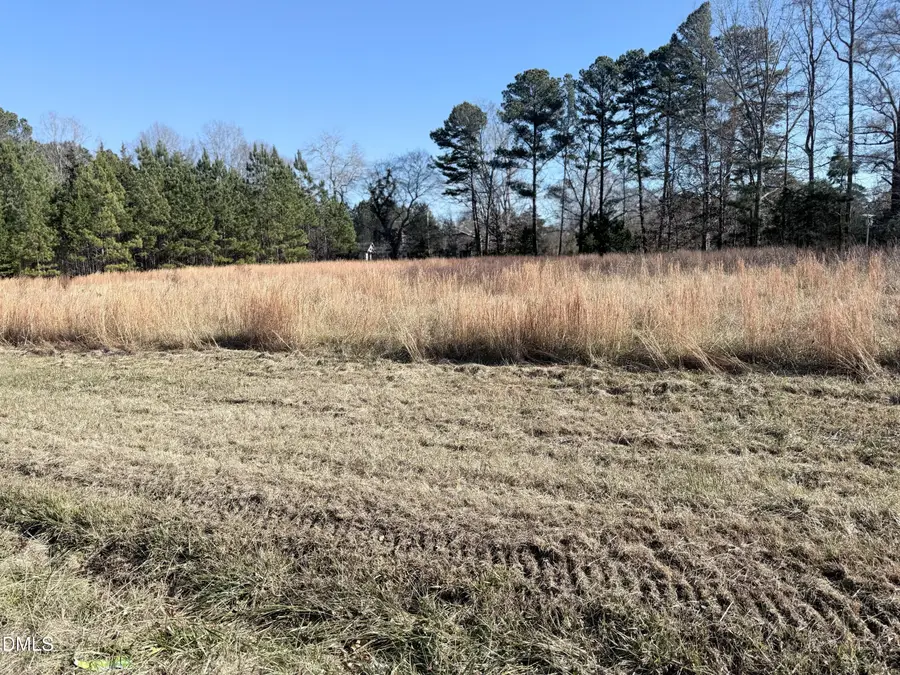 111 Berea Road, Rougemont, NC 27572 - #3