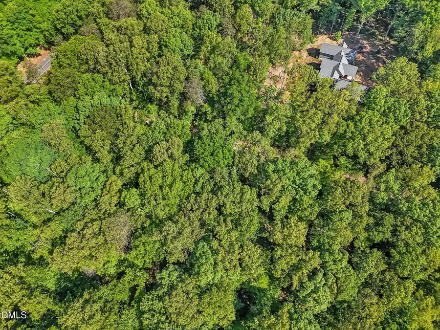 3820 Riversound Lane, Hurdle Mills, NC 27541 - #3