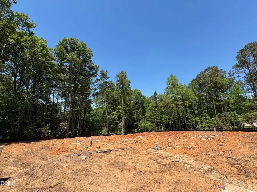 208 Gaines Trail, Pittsboro, NC 27312 - #2