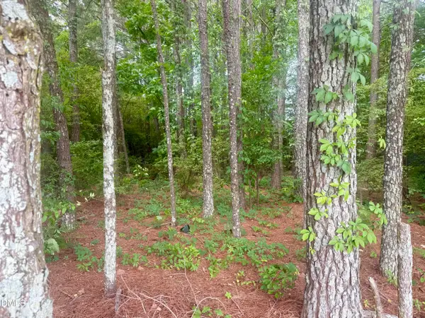 0 Happy Trails Lane, Dunn, NC 28334
