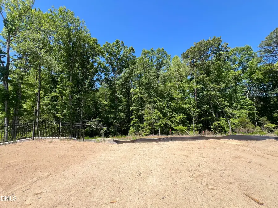 1668 Solace Way, Rolesville, NC 27571 - #3