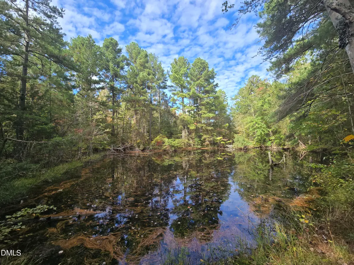 0 Bass Mountain, Snow Camp, NC 27349 - #1