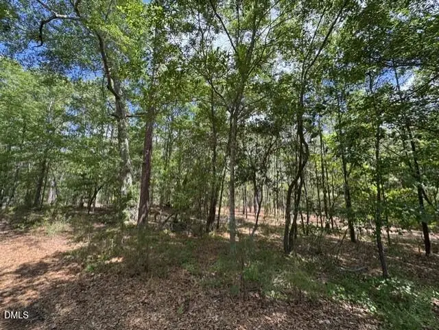 Lot 2 Utley Street, Aberdeen, NC 28315 - #1