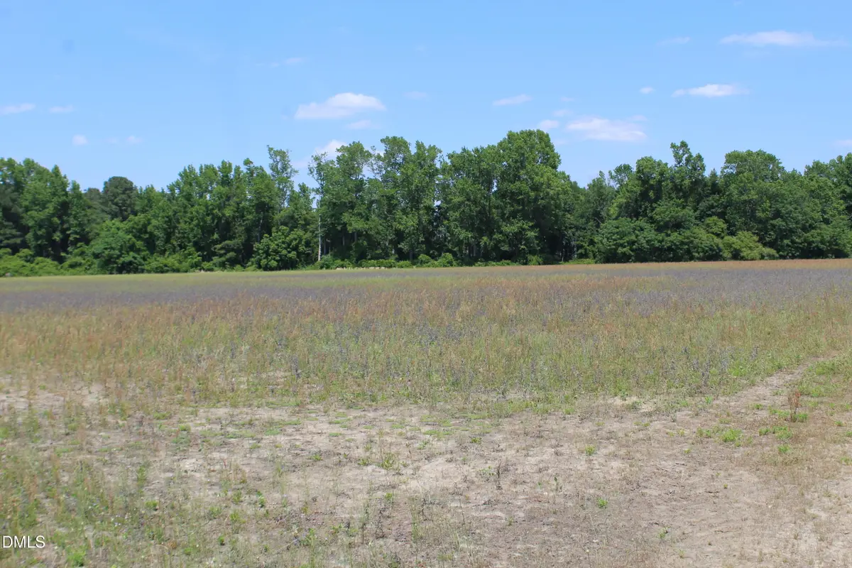 0 Lees Chapel Church Road, Dunn, NC 28334 - #1