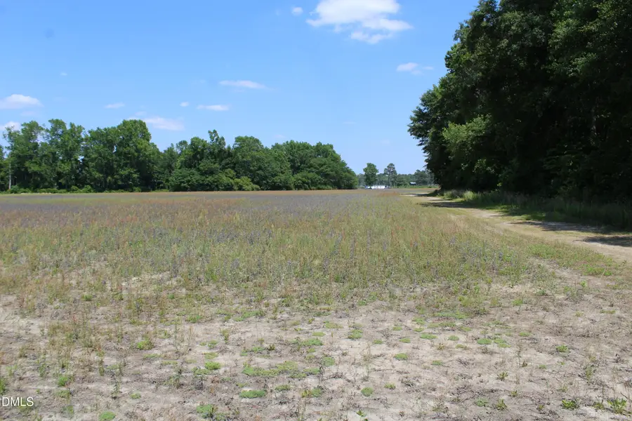 0 Lees Chapel Church Road, Dunn, NC 28334 - #2