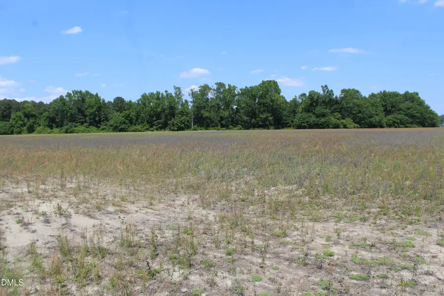 0 Lees Chapel Church Road, Dunn, NC 28334 - #3