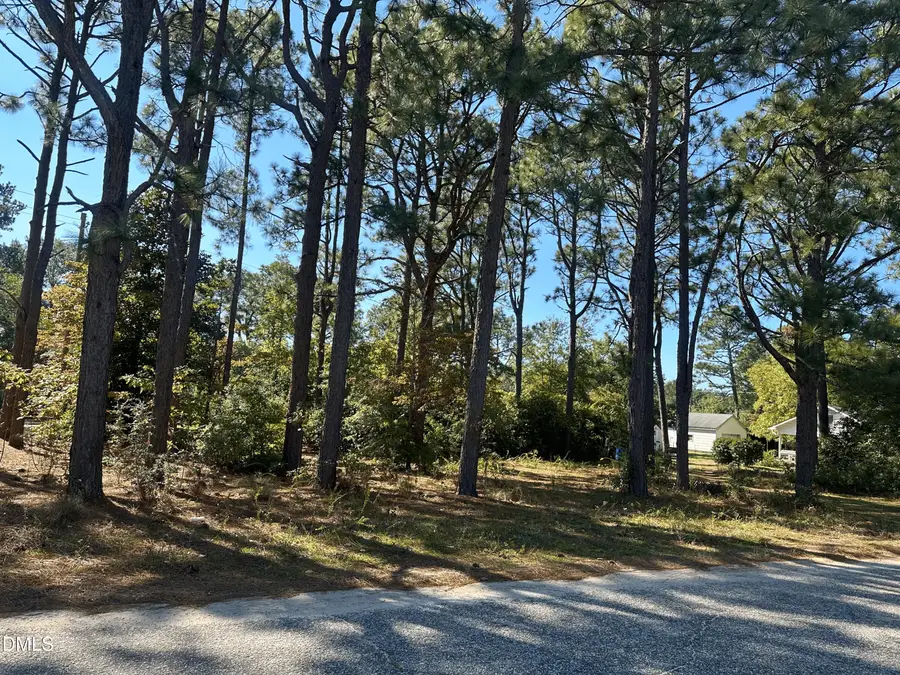 0 Maple Avenue, Hamlet, NC 28345 - #2