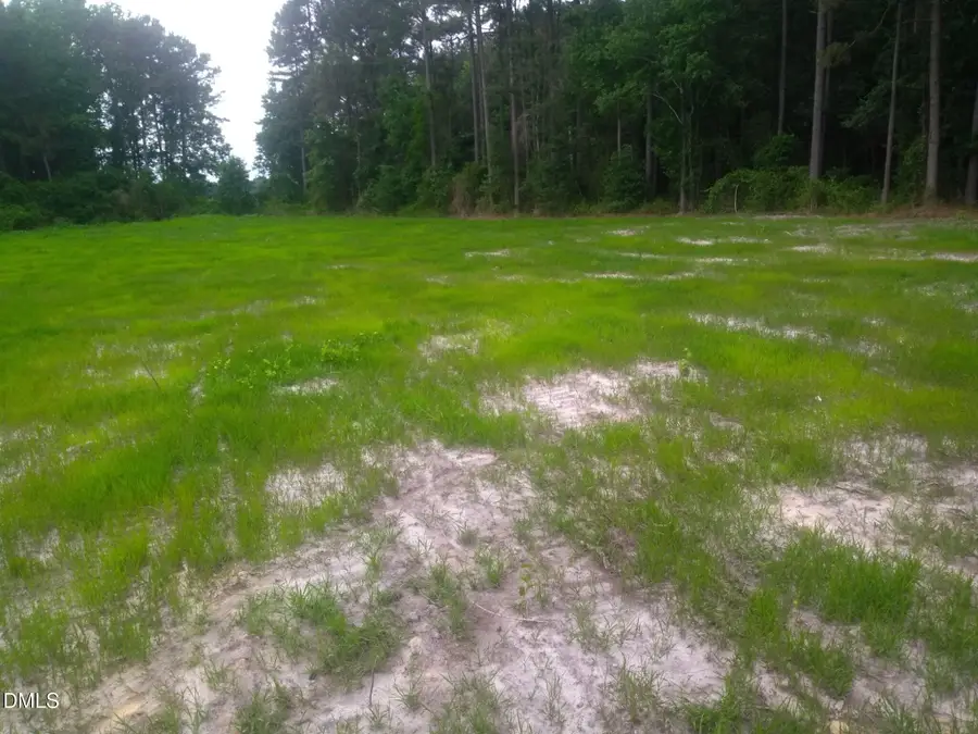 Tbd Pridgen Dead End Road, La Grange, NC 28551 - #3