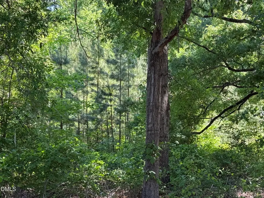 1.5 Ac Lot Country Club Road, Roxboro, NC 27574 - #3
