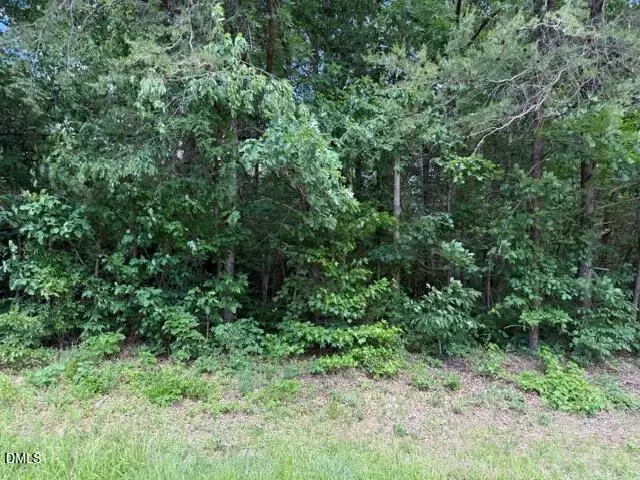 2.028 Mt Willing Road, Efland, NC 27243 - #1