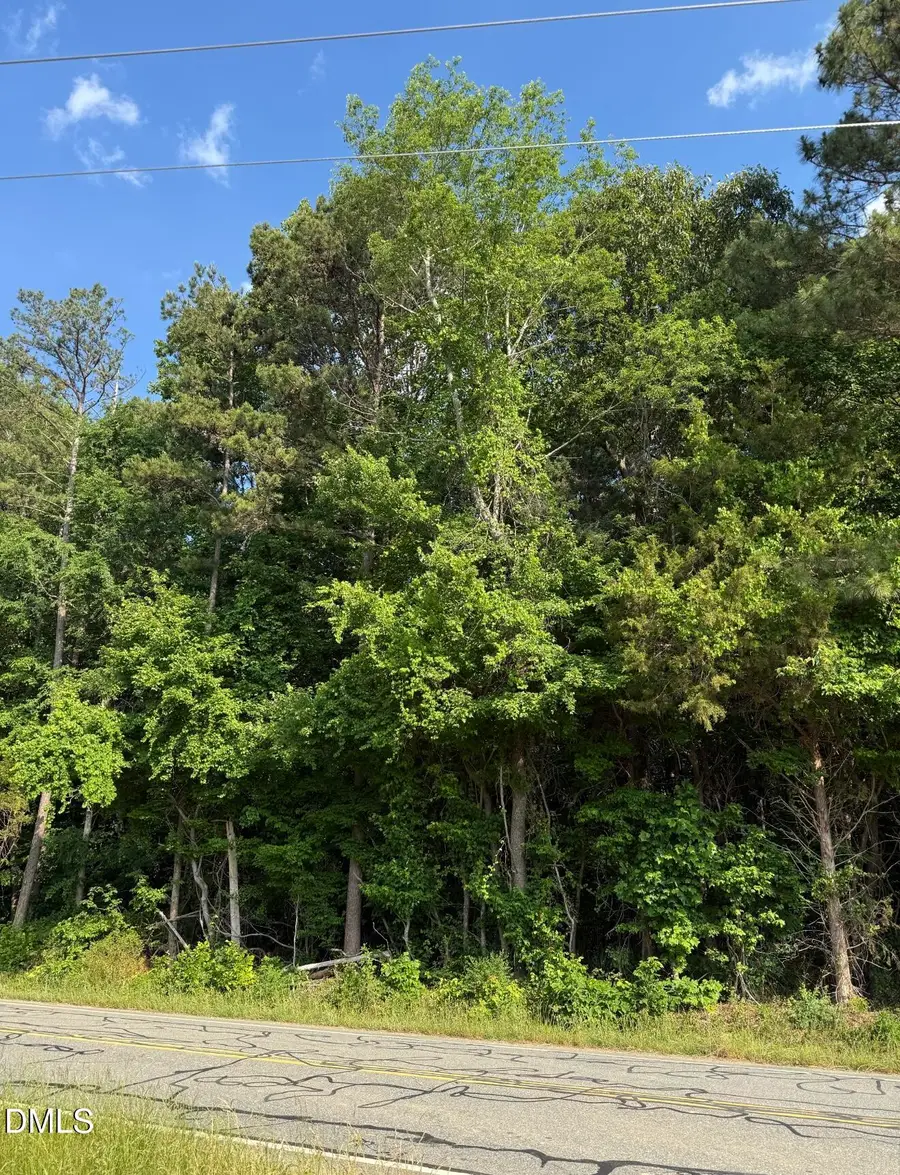 0 Jessie Bridges Road, Siler City, NC 27344 - #3