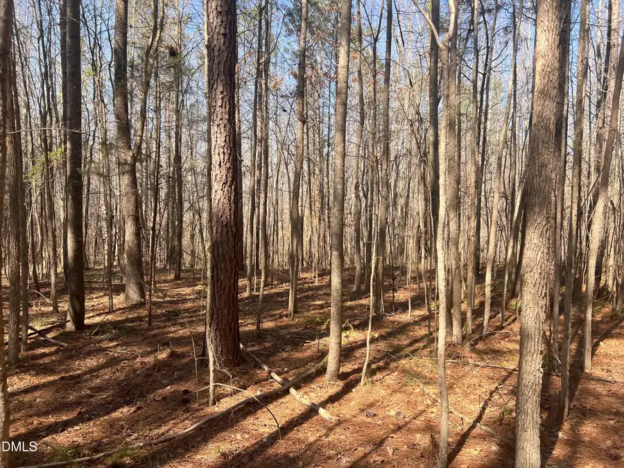 Lot 7 Fishing Creek Road, Enfield, NC 27823 - #3